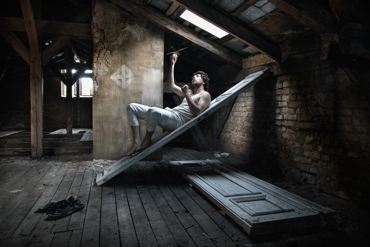 Dragonfly stay and fly high in the air 