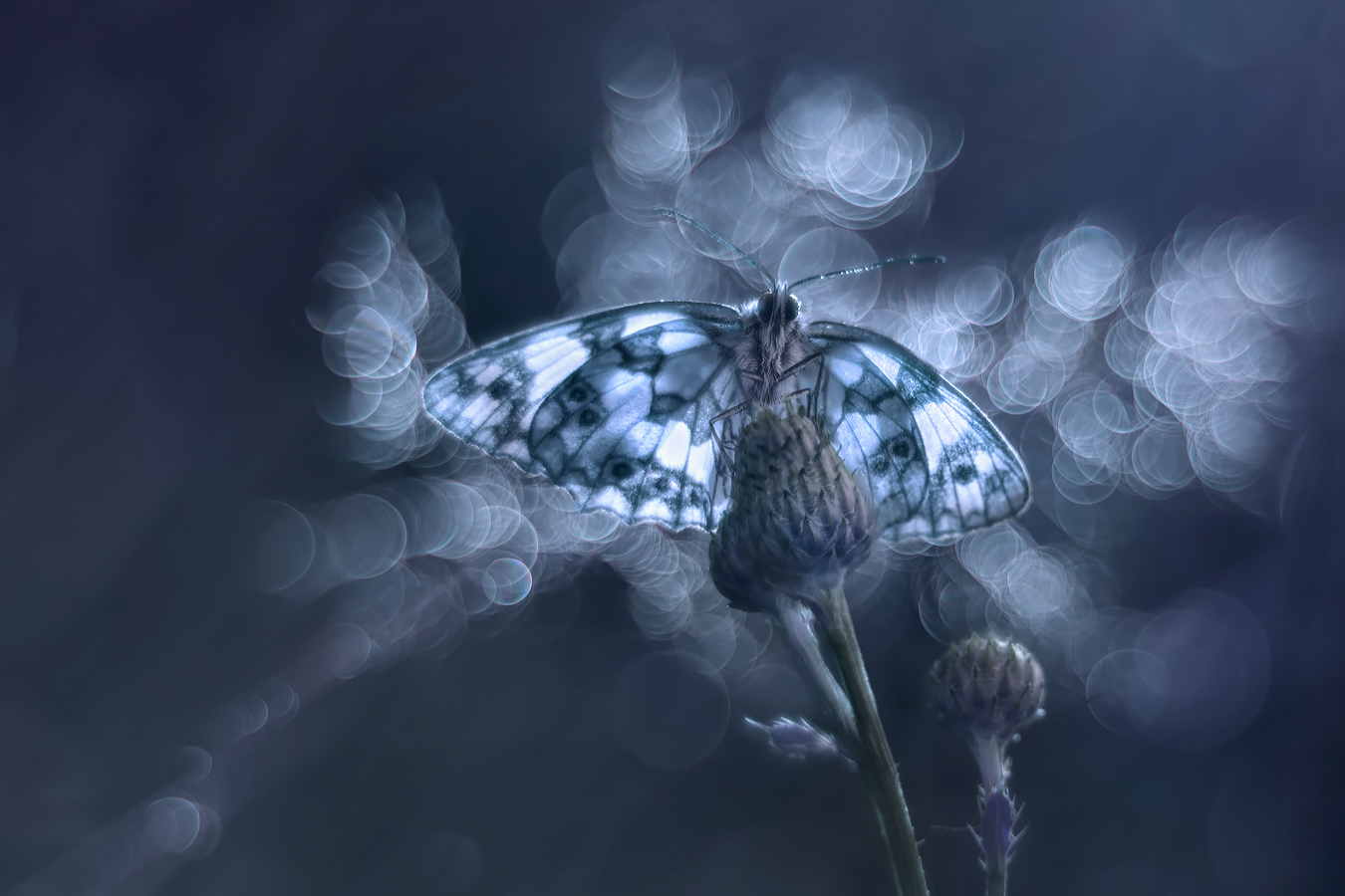 Późnojesienne nastroje