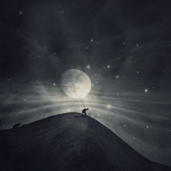 The Man Who Stole the Moon